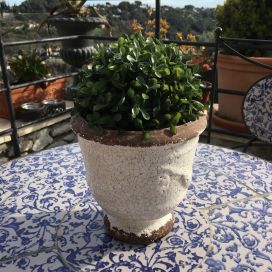 Terra cotta plant holder "Anduze" White