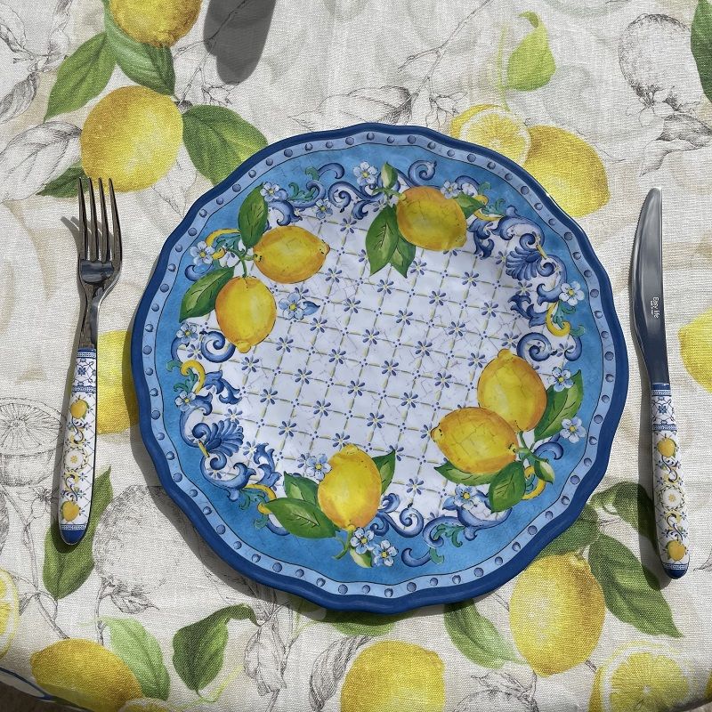https://laboutiquedelea.com/18318/assiette-plate-en-melamine-28cm-sorrento.jpg