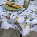 Nappe rectangulaire en coton enduit "Silvestre"