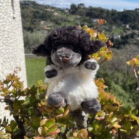 Peluches Bukowski - agneau "Black sheep"