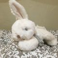 Barbara Bukowski - Fluffy rabbit COCO white
