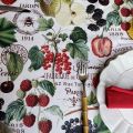 Round coated cotton tablecloth "Groseilles" white