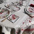 Michel Design Works "Peppermint" Accent plate set