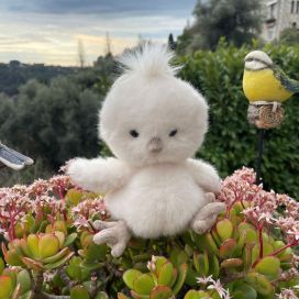 Peluches Bukowski - Poussin Baby Chicky blanc