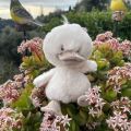 Peluches Bukowski - Caneton Baby Quack blanc