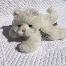 Barbara Bukowski - Cat "Crazy Cat" white