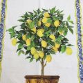 Linen kitchen towel "Limonaia" Tessitura Toscana Telerie